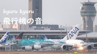 飛行機の飛ぶところを眺める ｜ 成田国際空港 [upl. by Getter]