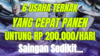 6 USAHA TERNAK YANG CEPAT PANEN UNTUNG 200 RIBU SEHARI YANG MENJANJIKAN Peluang Usaha Peternakan [upl. by Annavaj]