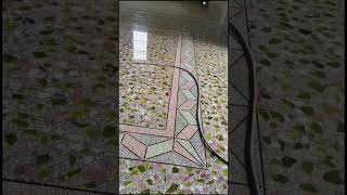 shorts shortvideo homeimprovement terrazzo floordesign floortiles [upl. by Nonnair22]