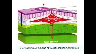 L accrétion océanique [upl. by Ealasaid940]