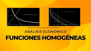 Funciones Homogéneas para el Análisis Económico [upl. by Sewell433]