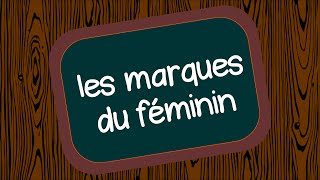 Les marques du féminin [upl. by Jain]