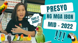 MAGKANO ANG MGA IBON NGAYONG MID2022 Bird Prices in the Philippines  Munting Ibunan [upl. by Anitsirhcairam]