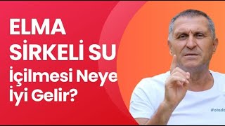 ELMA SİRKESİNİN FAYDALARI NELERDİR ELMA SİRKESİ NEYE ve NE İŞE YARAR [upl. by Atneciv]