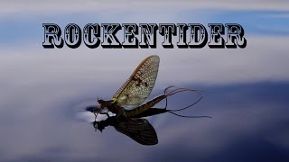 ROCKENTIDER Mayfly Flugfiske i Abborresjöns FVO [upl. by Ashla]