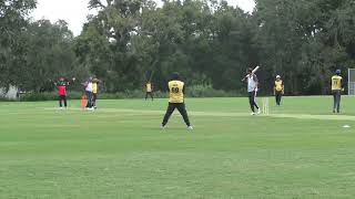 TCL 2024 DIV 1 Allies Vs Tridents usacricket cricket cricketlover [upl. by Atiras]