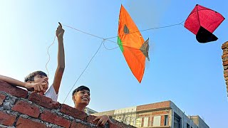 Patang catch Gudda kite flying on Sunday 🤣 [upl. by Kadner]