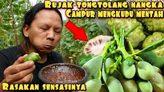 EXPERIMENT RUJAK TONGTOLANG NANGKA CAMPUR MENGKUDU MENTAH [upl. by Annim4]