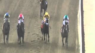 2015 Vosburgh Invitational Stakes  Rock Fall [upl. by Ainek92]