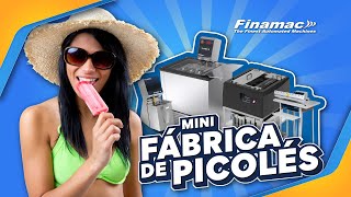 Mini Fábrica de Picolés da Finamac™ Conjunto Completo de Máquinas Artesanais para Produzir Picolés [upl. by Britt455]