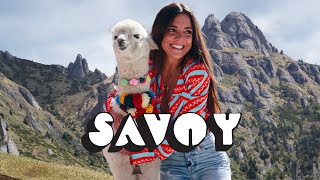 Savoy  Acolo In Varf De Munte Mentol Remix [upl. by Mignonne]