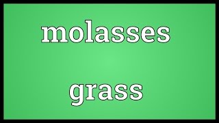 Molasses grass Meaning [upl. by Apicella865]