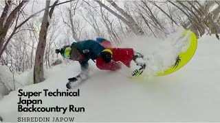 Japan Snowboarding l Niseko Backcountry l Catskiing Lap 2 l GoPro Fusion [upl. by Aynas892]