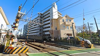 Residential Japan  Exploring Kashiwa Chiba  JAPAN LIVE STREAMS 2023 [upl. by Wun]