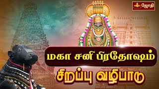 விதியை வெல்லும் சனி மகா பிரதோஷ வழிபாடு  Sani Pradosham பல்வேறு கோயில்களில் இருந்து  Jothitv [upl. by Reham]