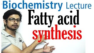 Fatty acid synthesis [upl. by Darnell]