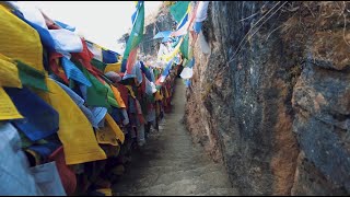 Yarinag  Temal  Timal  Yaksha Nagpo  तेमाल  यारिनाग  यक्ष नाग्पो  གཡའ་རིའི་ནགས་ [upl. by Siari969]