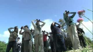 Parque Natural Los Alcornocales Cuando ellas también nos miran ESPAÑOL [upl. by Bari]