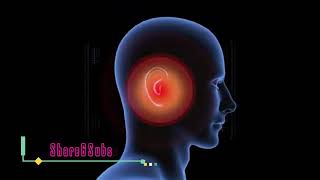 10000 Hz Beta Wave Tinnitus Sound Therapy To Unblock Your Ears  15 Min Isochronic Binaural Beats [upl. by Assirolc961]