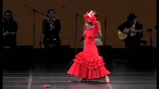 flamenco rondena [upl. by Matilda96]