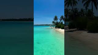 maldives travel beach island maldives paradise miracle shorts vacation nature fyp foryou [upl. by Oznarol840]