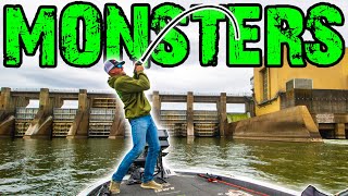 Fishing DAM For MONSTER 10LB BASS EPIC [upl. by Nadual]