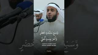 Beautiful Quran Recitation [upl. by Lennor]