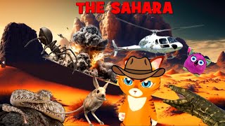 Desert Animals For Kids  The Sahara Desert  Animal Facts  Adventures With Whiskers [upl. by Nahgeem]