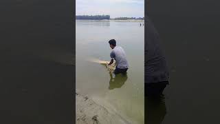 Amazing Net Fishing Video fishing [upl. by Chabot]