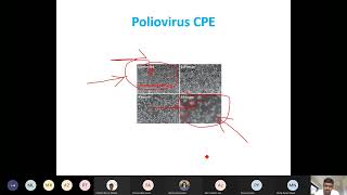 Lecture5 SBL704 Virology 15 01 2022 [upl. by Treat]