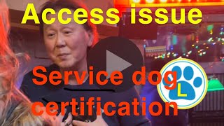 Service dog certification owner trainer access issue see how I handle it [upl. by Giordano117]