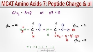 How to Calculate Peptide Charge and Isoelectric Point MCAT Trick [upl. by Dougy]