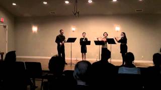 Austin Flute Project  Parthenia by Ira P Schwartz [upl. by Ivanna]