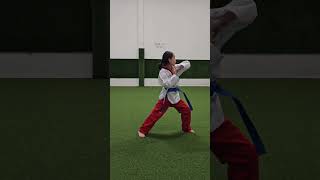 POOMSAE 5 TAEKWONDO [upl. by Salchunas438]