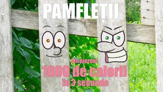 Pamfleții  Am pierdut 1000 de calorii în 3 secunde S4  Ep2 [upl. by Anyela50]