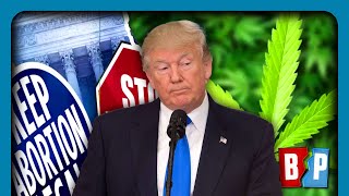 FL ABORTION WEED Ballot Initiative Could SCREW Trump [upl. by Yrebmik801]