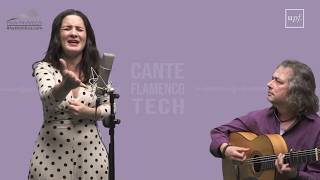 Live Online Flamenco Vocal Lessons at Rhythmitica  De Cante Flamenco Online [upl. by Morgenthaler]