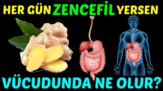 HER GÜN ZENCEFİL YERSENİZ VÜCUDUNUZDA NE OLUR [upl. by Enaek342]