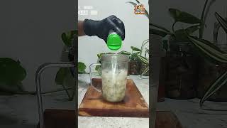 Refreshing Rambutan Juice Recipe  Quick amp Delicious Tropical Drink [upl. by Filippo605]