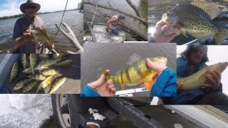 Wisconsins Amazing Fishery [upl. by Krebs]