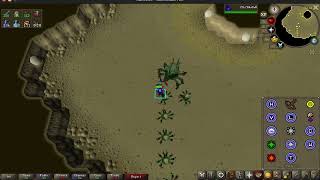 OSRS Combat Achievement  Kalphite Queen 25 KC [upl. by Burlie]