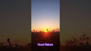 Gods creation music freedom raza desertlife desertliving [upl. by Anilrats]