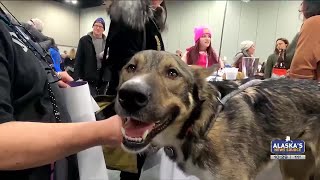 2024 Iditarod Musher Meet amp Greet [upl. by Uri]