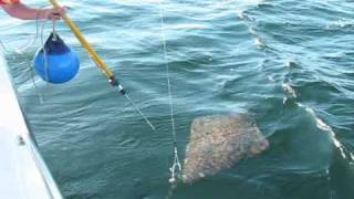 Ketchikan Alaska Halibut Fishing in at Chinook Shores Lodge [upl. by Anauqes]