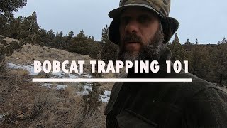 BOBCAT TRAPPING [upl. by Celestyn]