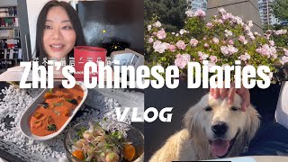 Chinese VlogLearn Chinese A day in my life Fridaypet hospitaldinner by the river in Vancouver） [upl. by Krilov]