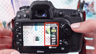 How to Shoot in RAW Format on Nikon D7200 3 Ways to Set up [upl. by Melvena943]