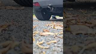 Opel Corsa C 17 CDTI Straight Pipe Sound Z17dth [upl. by Ginnie]