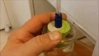 TIP on HOW TO degas homemade white wine kit FAST [upl. by Inavihs]