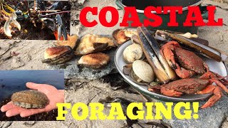 Coastal Foraging  Cook Up On The Beach  Ormers  Abalone  Lobster  Clams and More [upl. by Kolva813]